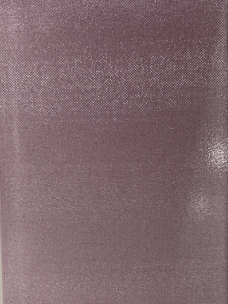 زجاج (للباب)